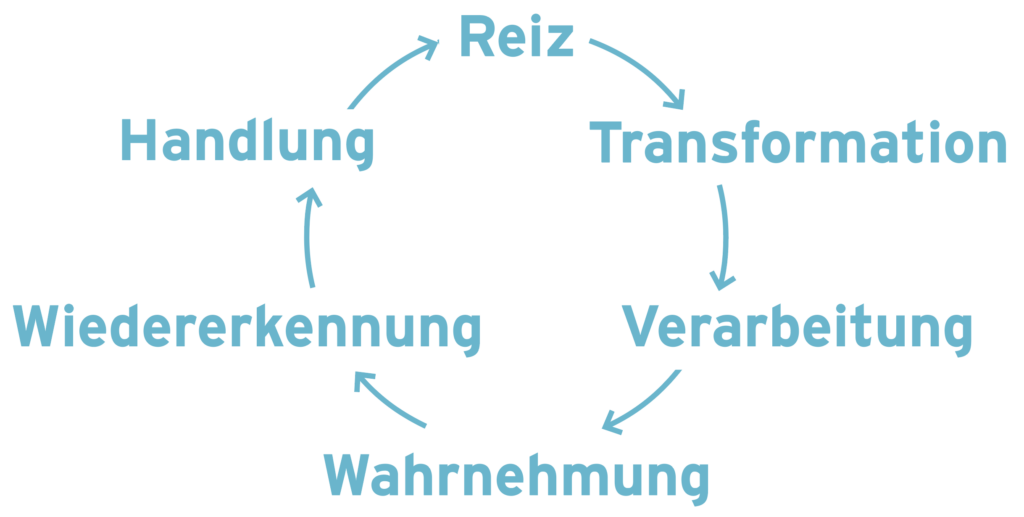 Die Wahrnehmungskette